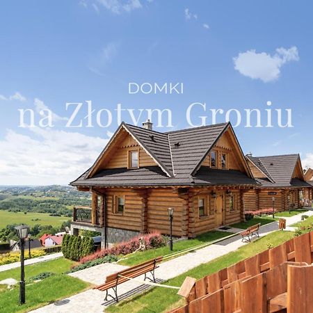 Domki Na Zlotym Groniu Villa Istebna Dış mekan fotoğraf